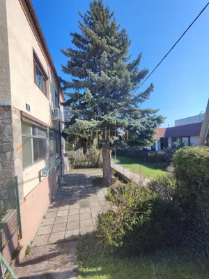 Gewerbeimmobilie mieten in Wien – 142 m², € 2.000 – Bild 4 von 5
