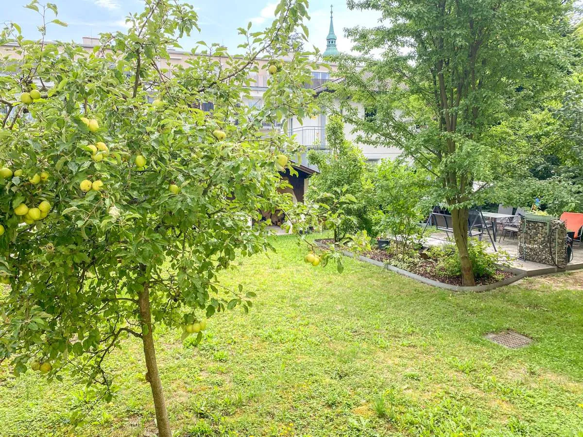 Wohnung – Stockerau, Grafendorf, Katastralgemeinde Stockerau - Ansicht 3