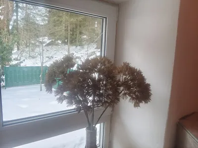 4-Zimmer-Haus kaufen in Bruck-Mürzzuschlag – 93 m², € 139.000 – Bild 14 von 33