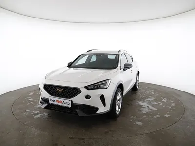 Cupra Formentor 2,0 TDI 4Drive DSG