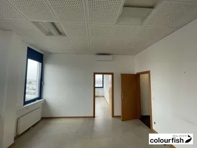 5-Zimmer-Gewerbeimmobilie mieten in Wien – 175 m², € 2.151 – Bild 6 von 8