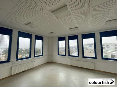 5-Zimmer-Gewerbeimmobilie mieten in Wien – 175 m², € 2.151 – Bild 2 von 8