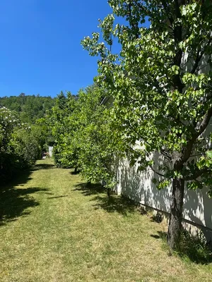 4-Zimmer-Haus kaufen in Wiener Neustadt Land – 130 m², € 640.000 – Bild 17 von 22