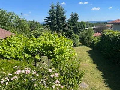 4-Zimmer-Haus kaufen in Wiener Neustadt Land – 130 m², € 640.000 – Bild 2 von 22