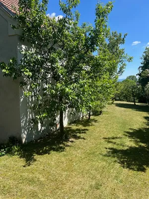 4-Zimmer-Haus kaufen in Wiener Neustadt Land – 130 m², € 640.000 – Bild 18 von 22