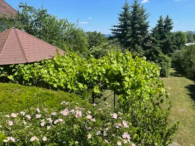 4-Zimmer-Haus kaufen in Wiener Neustadt Land – 130 m², € 640.000 – Bild 21 von 22