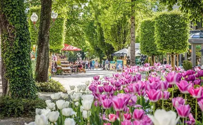 24-Zimmer-Gewerbeimmobilie kaufen in Salzburg Stadt – 1 704 m², € 1.690.000 – Bild 9 von 12
