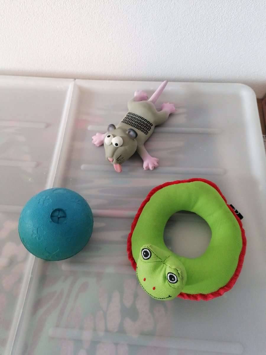 Hundefutter Leckerli Beutel und Hundespielzeug Futterball Schwimmfrosch  Quietschmaus,  18,- (3400 Klosterneuburg) - willhaben