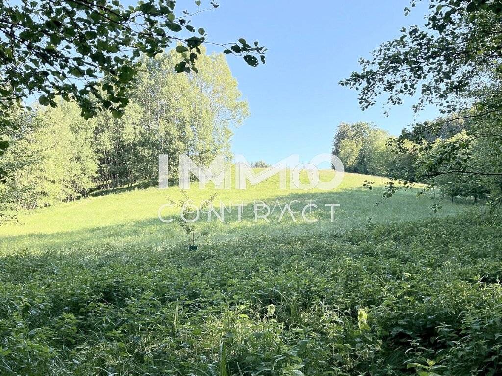 Erholung pur im eigenen Wald mit Bach und Wiesen nähe Amstetten - Ansicht 2