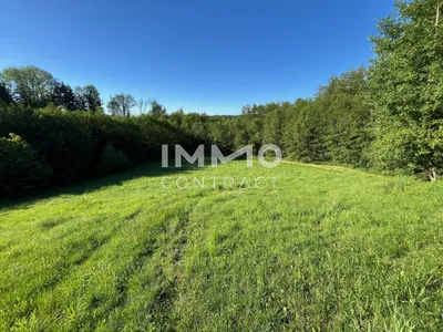 Grundstück kaufen in Amstetten – 6 938 m², € 30.000 – Bild 8 von 9