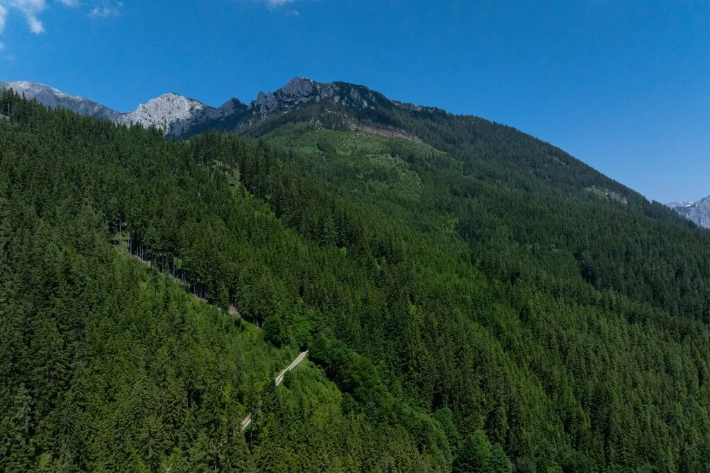 1.000 ha Forstbesitz – pohled 2
