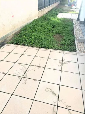 5-Zimmer-Haus kaufen in Wien – 123,87 m², € 619.000 – Bild 11 von 26