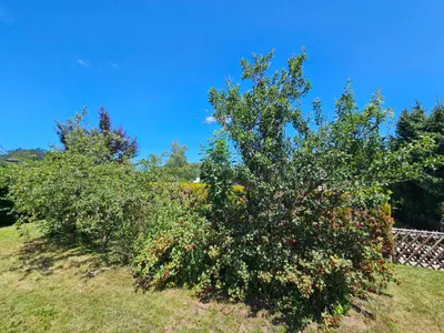7-Zimmer-Gewerbeimmobilie kaufen in Sankt Veit an der Glan – 155 m², € 365.000 – Bild 39 von 46