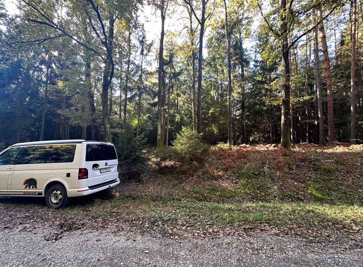 Gut zugänglicher Wald im Bezirk Königsdorf - 12347 m² zu verkaufen - Ansicht 2