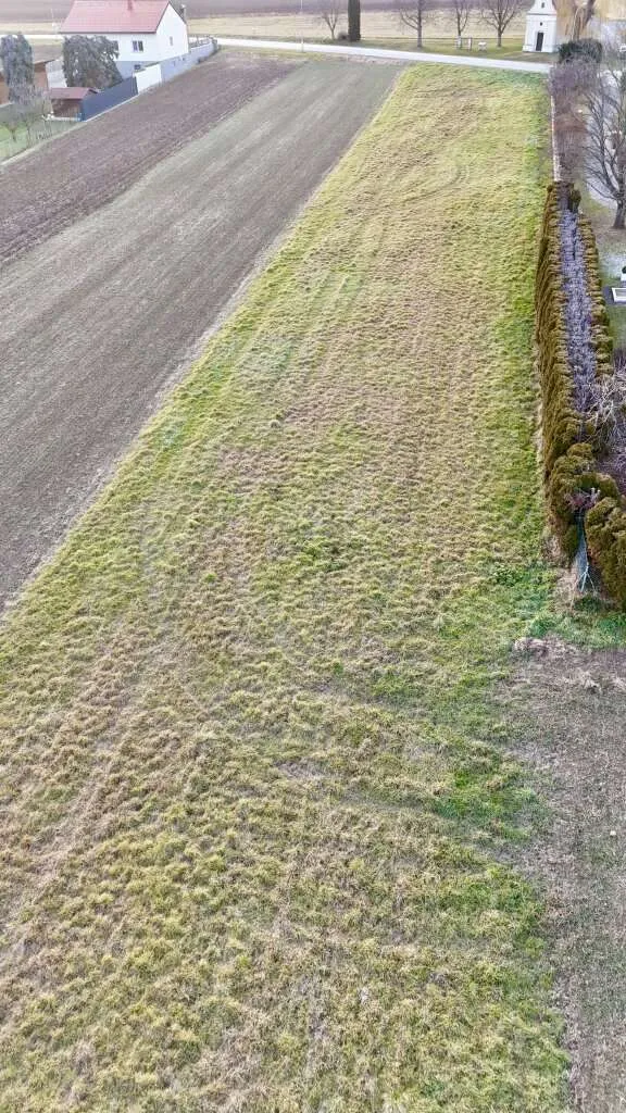 Baugrundstück mit 1.577 m² ruhig und sonnig gelegen am Ortsrand von Großwarasdorf - Ansicht 3