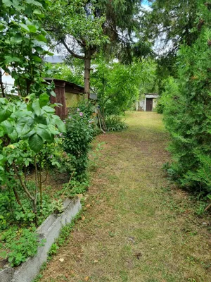 3-Zimmer-Haus kaufen in Gänserndorf – 107 m², € 185.000 – Bild 2 von 30