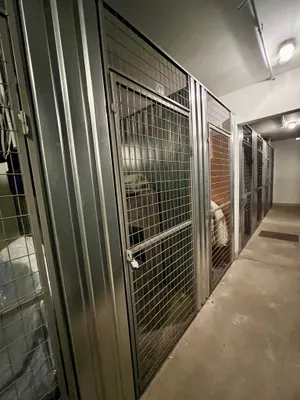 2-Zimmer-Wohnung mieten in Wien – 63 m², € 1.100 – Bild 13 von 18