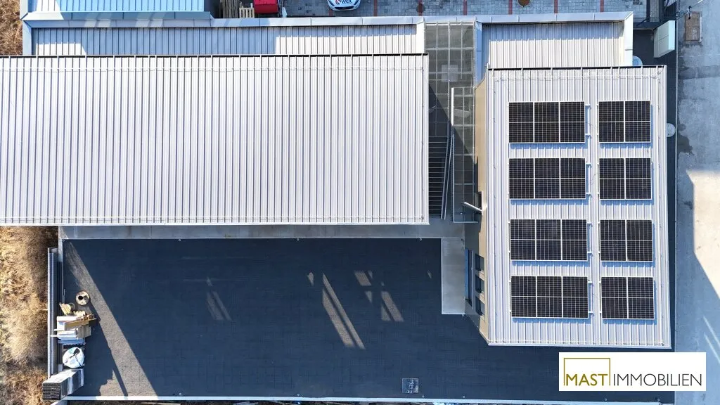 Moderne Neubauhalle im aufstrebenden Industrieviertel von Sooß - flexible Flächen ab sofort verfügbar - Ansicht 3