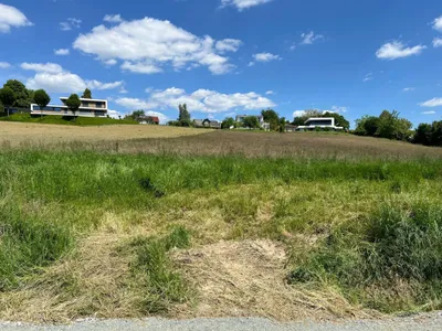 Grundstück kaufen in Leibnitz – 4 950 m², € 396.000 – Bild 6 von 7