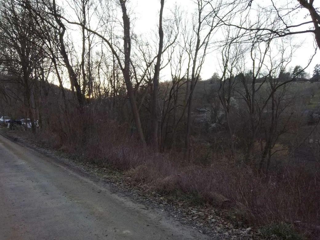1526m² großer Wald mit Bach in Klosterneuburg (Kritzendorf, Hanglage) - View 3