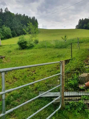 3-Zimmer-Haus mieten in Graz-Umgebung – 118 m², € 1.300 – Bild 2 von 14