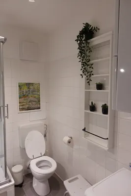 1-Zimmer-Wohnung mieten in Baden – 40 m², € 850 – Bild 2 von 10