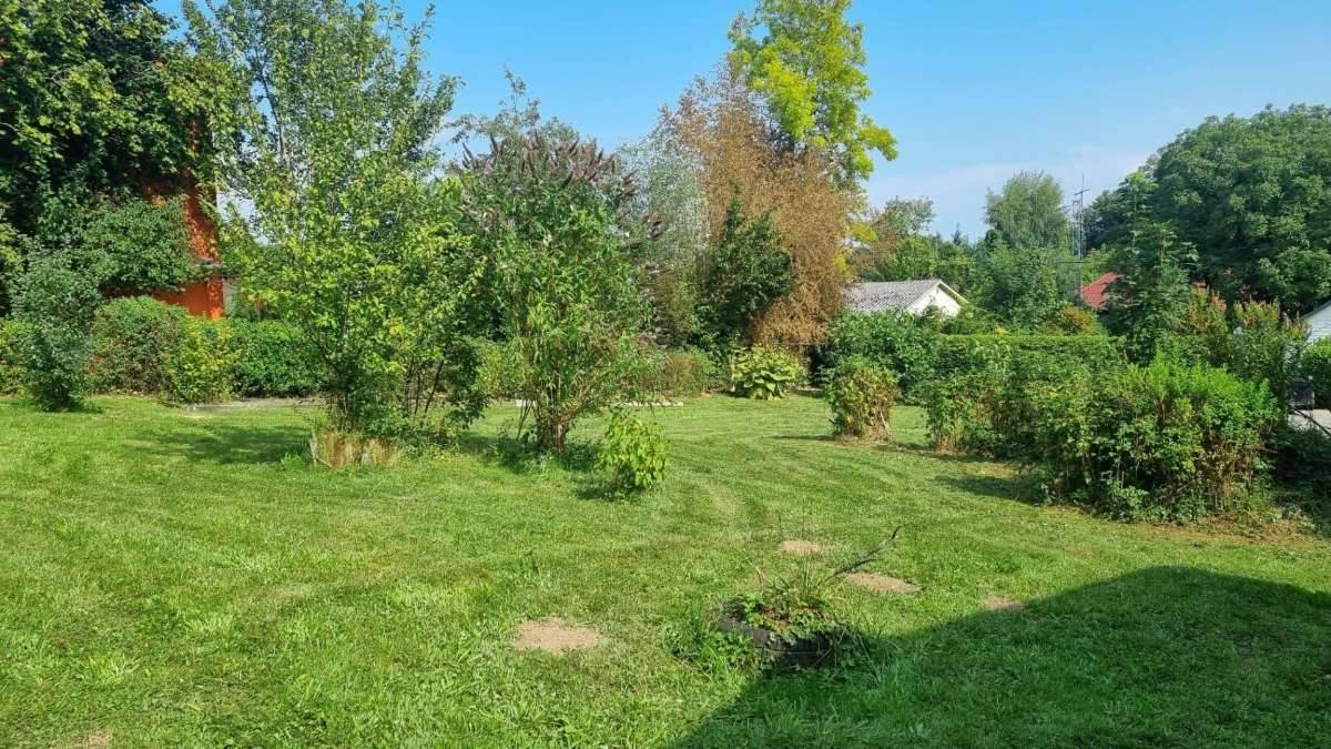VÖCKLABRUCK: BAUGRUNDSTÜCK ca. 2.084 m² Gesamtfläche (inkl. Altbestand) - Ansicht 2
