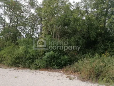 Immobilie kaufen in Baden – 4 000 m², € 912.000 – Bild 4 von 7