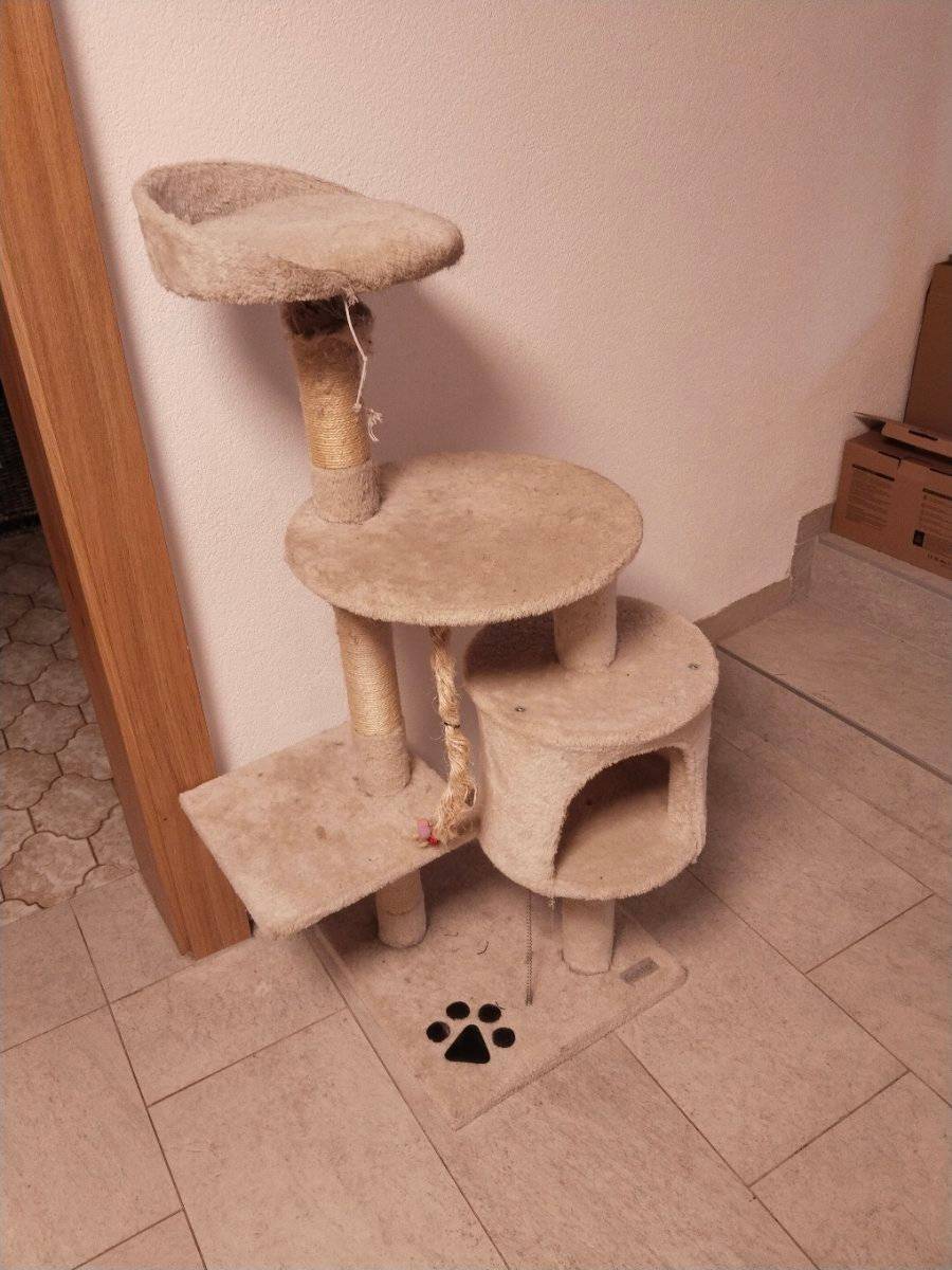 Zu verschenken: Kratzbume / -bretter - Katzenzubehr | willhaben