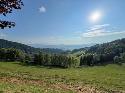 12-Zimmer-Immobilie kaufen in Wolfsberg – 700 m², € 4.200.000 – Bild 7 von 19