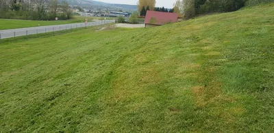 Grundstück kaufen in Hartberg-Fürstenfeld – 3 888 m²