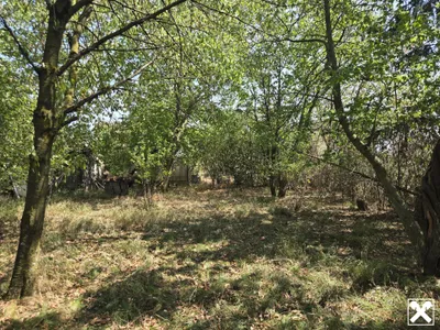 Immobilie kaufen in Amstetten – 560 m² – Bild 11 von 20