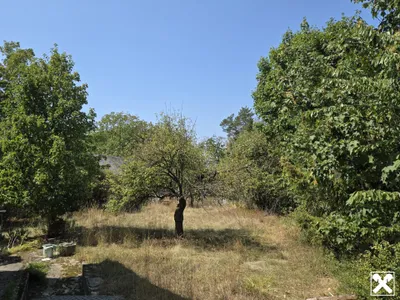 Immobilie kaufen in Amstetten – 560 m² – Bild 8 von 20