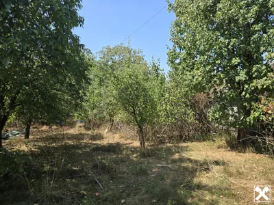 Immobilie kaufen in Amstetten – 560 m² – Bild 7 von 20