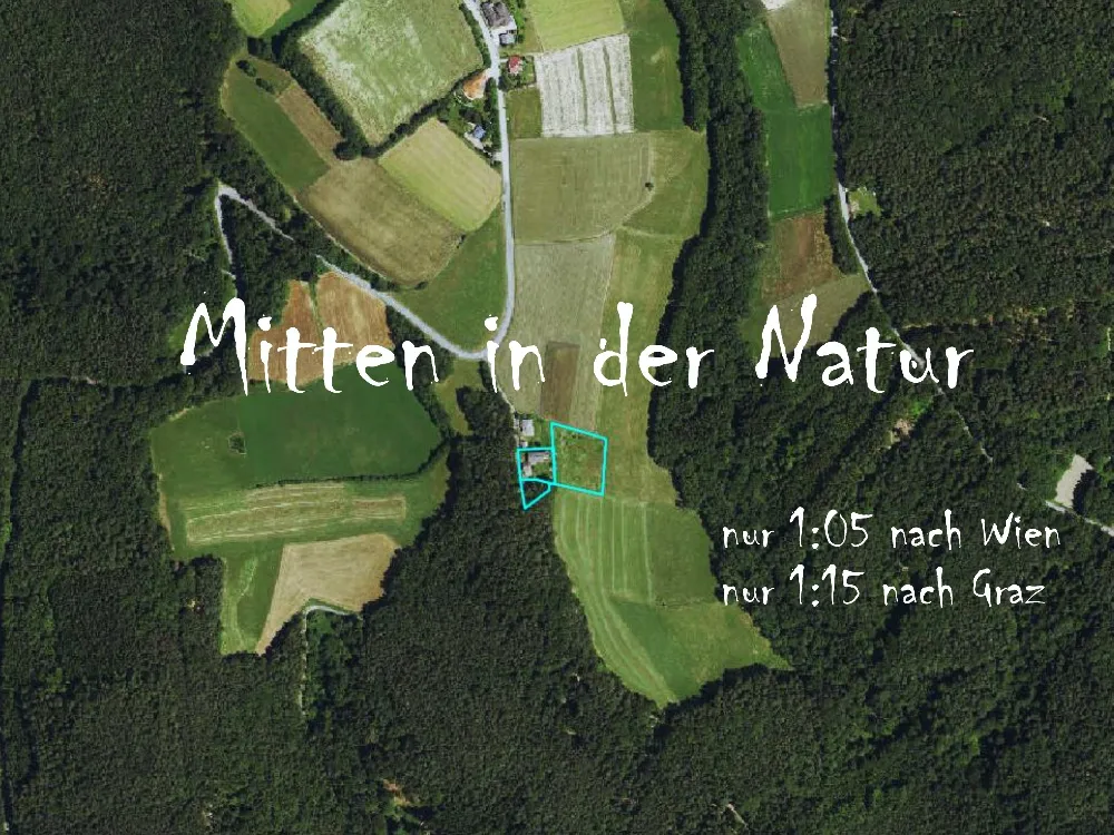 Einzigartige Aussichtslage - Zweifamilienhaus mit Gartenparadies - Widok 3