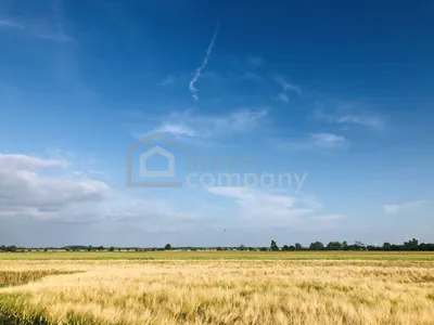 Grundstück kaufen in Neusiedl am See – 15 560 m², € 98.000 – Bild 1 von 2