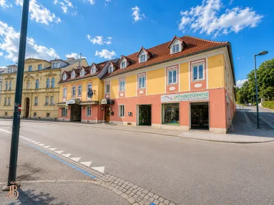 Gewerbeimmobilie kaufen in Hartberg-Fürstenfeld – 2 453 m², € 2.200.000 – Bild 3 von 12