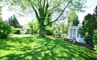 5-Zimmer-Haus kaufen in Baden – 240 m², € 1.999.000 – Bild 6 von 36