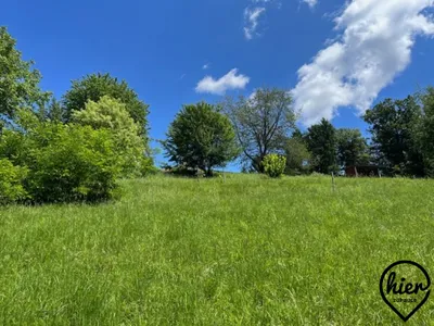 Haus kaufen in Südoststeiermark – 300 m², € 1.200.000 – Bild 46 von 59