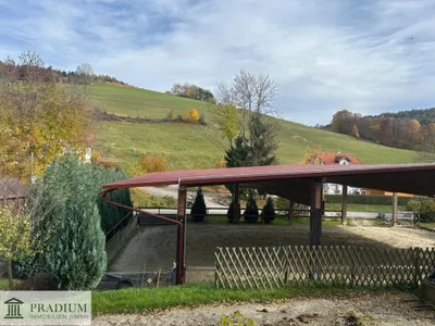 Immobilie kaufen in Wiener Neustadt Land – 225 m², € 659.000 – Bild 5 von 39