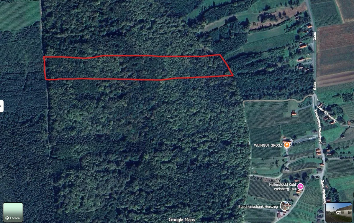 Wald zu verkaufen - Ansicht 2