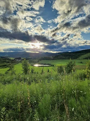 Gewerbeimmobilie kaufen in Voitsberg – 1 339 m², € 1.300.000 – Bild 2 von 17