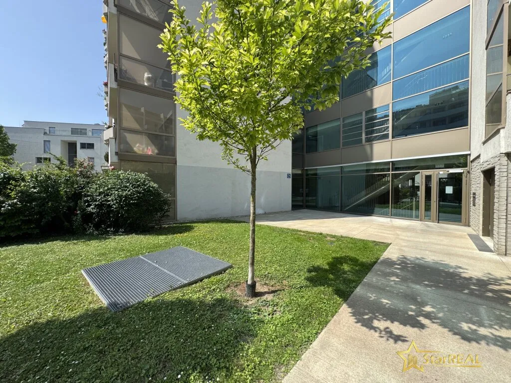 Apartment in Wien, Altmannsdorf - Ansicht 2