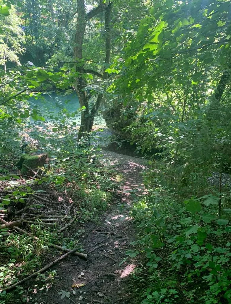 Naturparadies in Scheibbs zu verkaufen - Ansicht 3