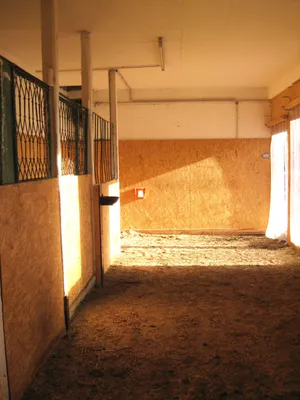 14-Zimmer-Immobilie kaufen in Amstetten – 375 m², € 650.000 – Bild 26 von 32