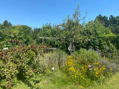 3-Zimmer-Haus mieten in Sankt Pölten Land – 100 m², € 1.350 – Bild 4 von 16