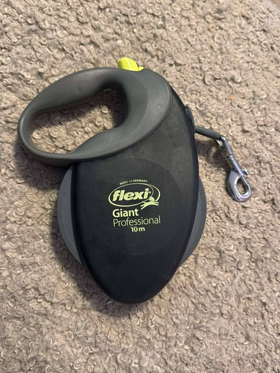 Flexi Leine (Hundeleine) 10m,  15,- (6112 Wattens) - willhaben