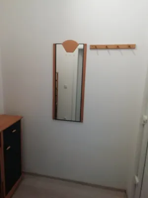 Wohnung mieten in Murau – 50 m², € 390 – Bild 7 von 8