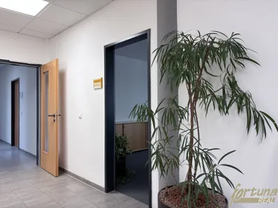 Gewerbeimmobilie mieten in Sankt Pölten – € 580 – Bild 2 von 9