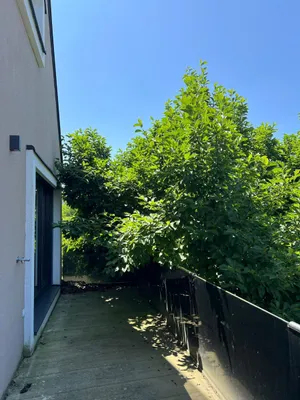 3-Zimmer-Wohnung mieten in Leibnitz – 79 m², € 850 – Bild 3 von 14